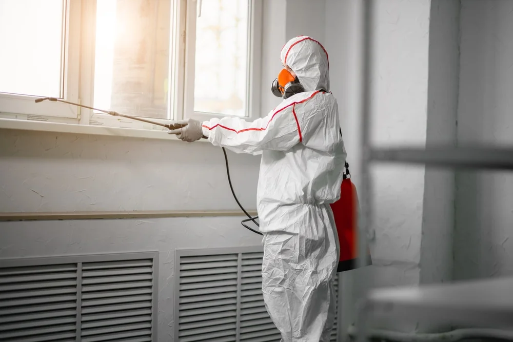 Professional mold remediation services in Cranbury, NJ